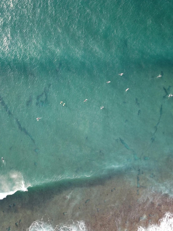 there are many people swimming and riding the waves