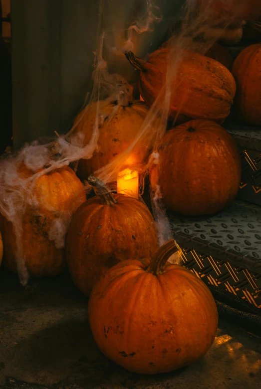 some pumpkins and a candle are in the background