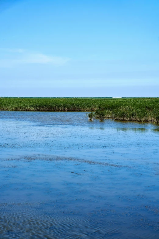 a blue sky is reflecting the sky over some water