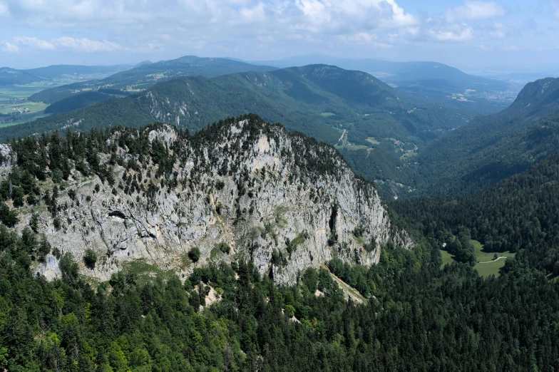 a group of pine trees with mountains in the background