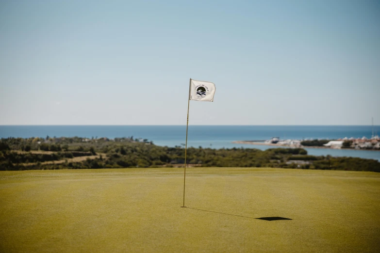 an image of a golf green with flag