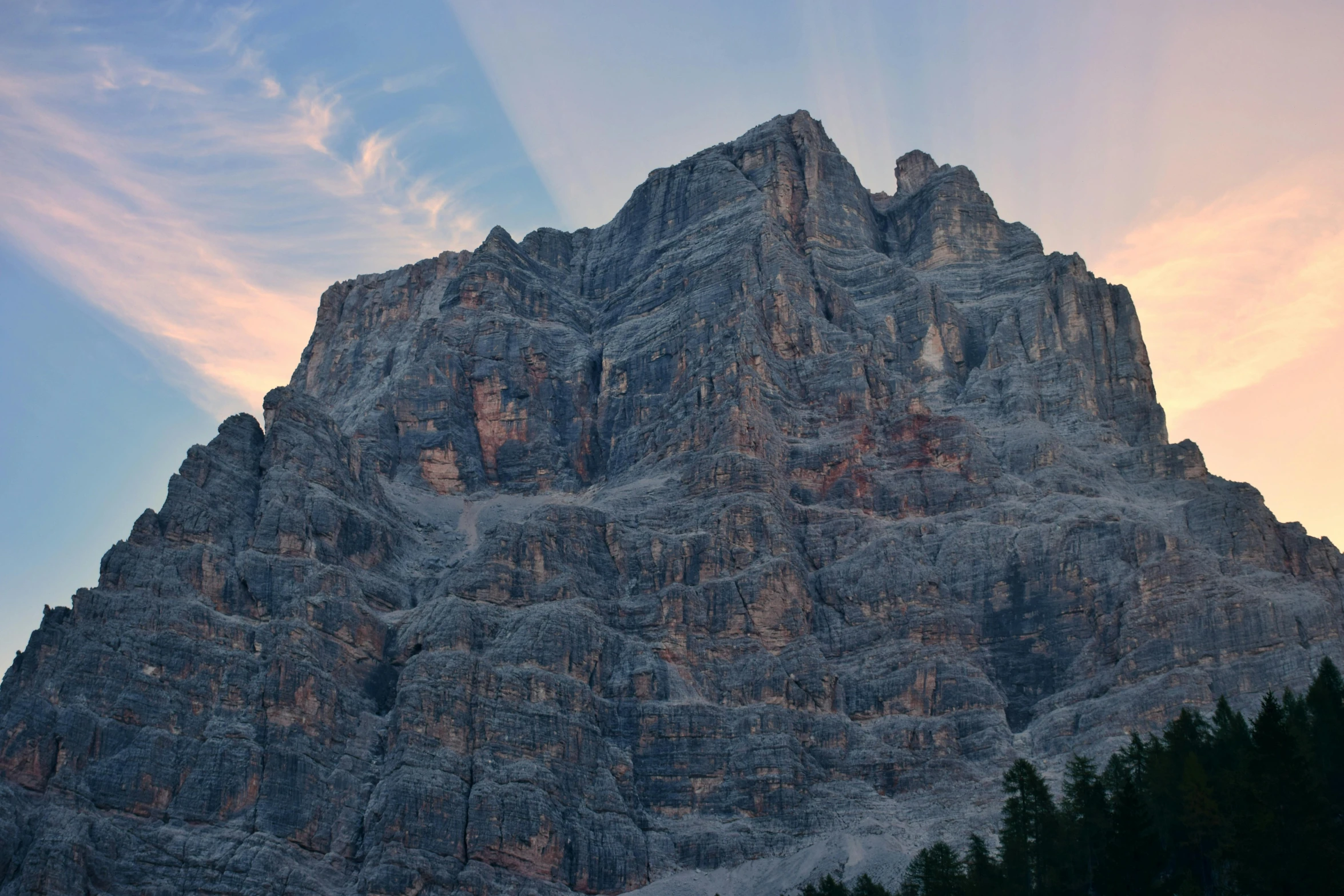 the top of a mountain with pine trees in front of it