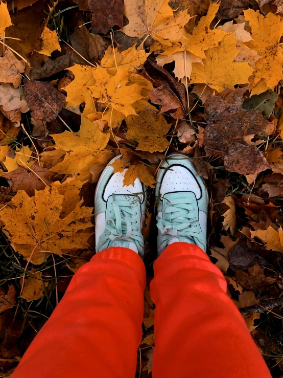 a person standing on leaves with their legs crossed