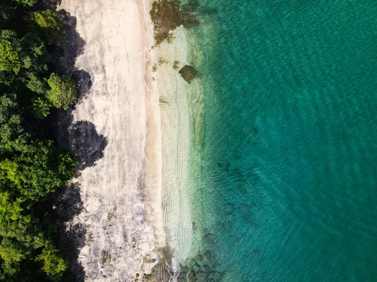 an overhead view of a sandy beach, clear water and trees