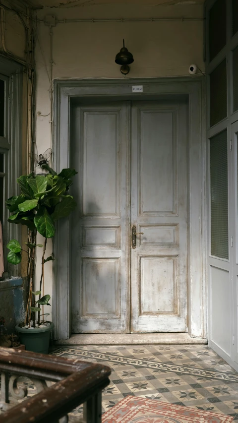 the interior of an old house, with two doors and a potted plant