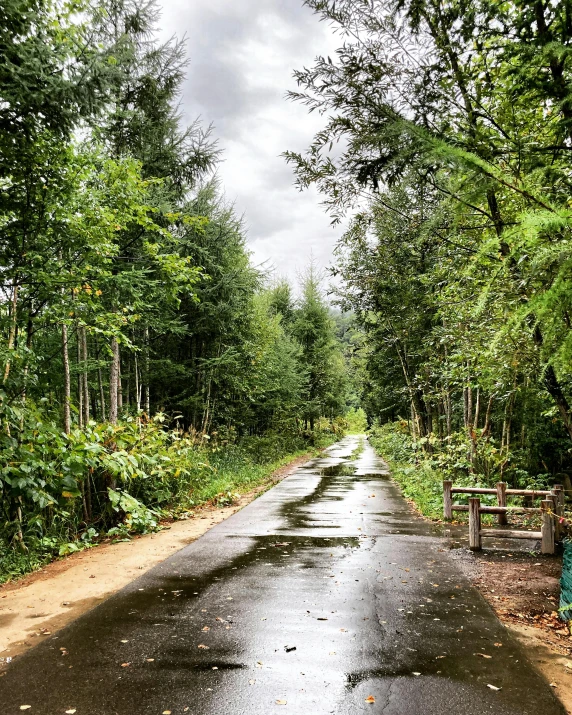 the road is wet with rain from the car