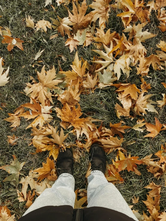 a person standing in front of falling leaves