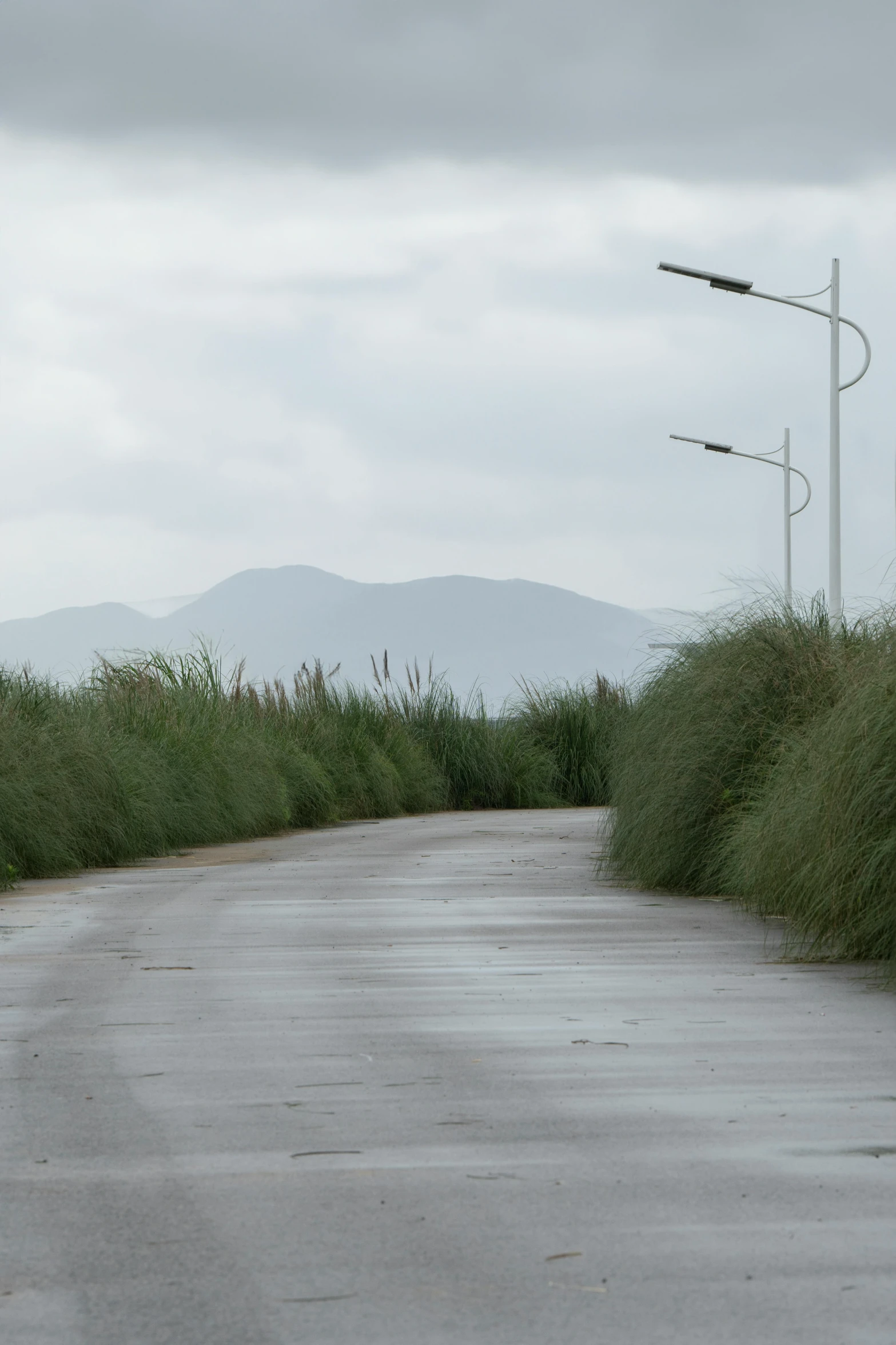 a street and power poles are lined up along a hill