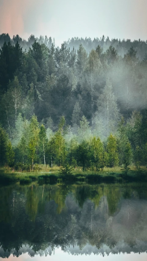 a misty view of the trees surrounding a lake