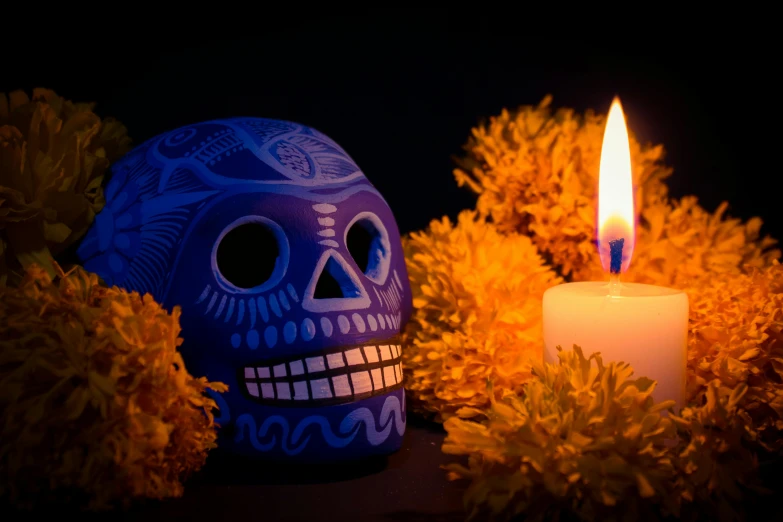 a blue and white skull on the ground next to a yellow flower