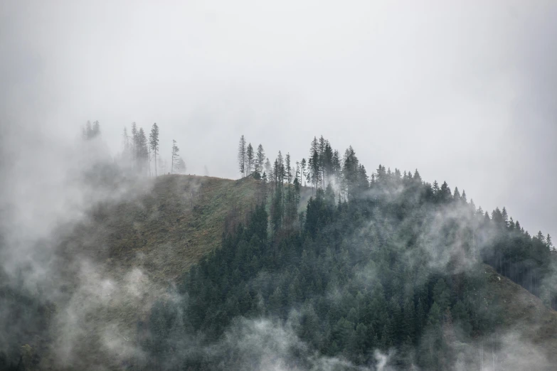 a mountain on a foggy day with the tops of trees in view