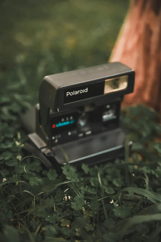 there is an old fashioned polaroid camera sitting in the grass