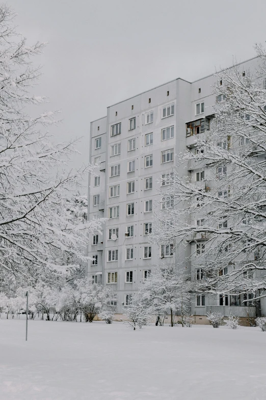 a large building surrounded by trees and snow