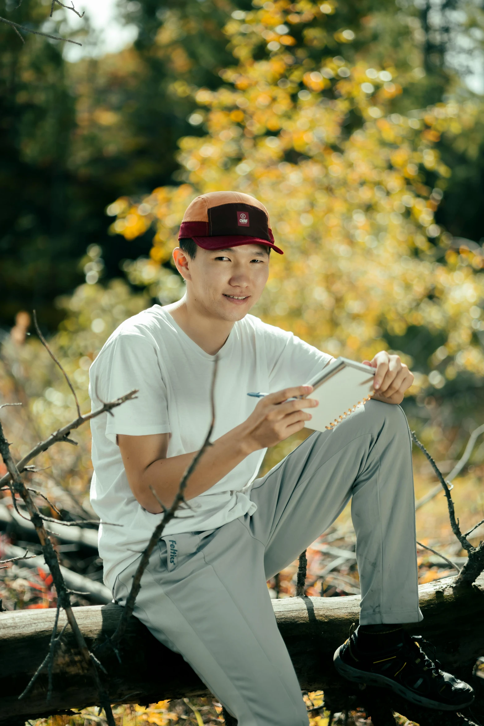 a young man sitting on a fallen tree and looking at his tablet