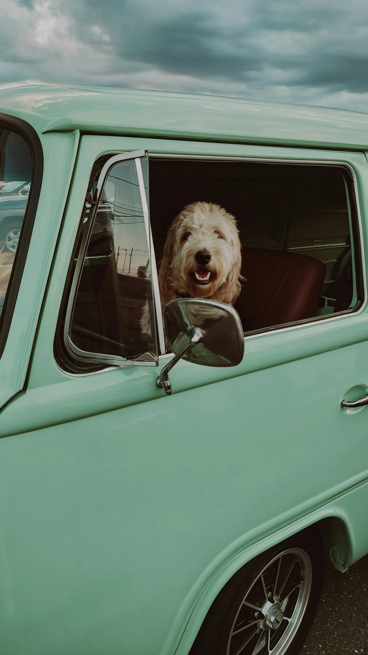 there is a white dog sticking its head out the window of a truck