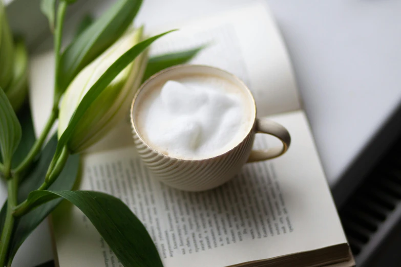 a cup of foam is sitting on top of an open book