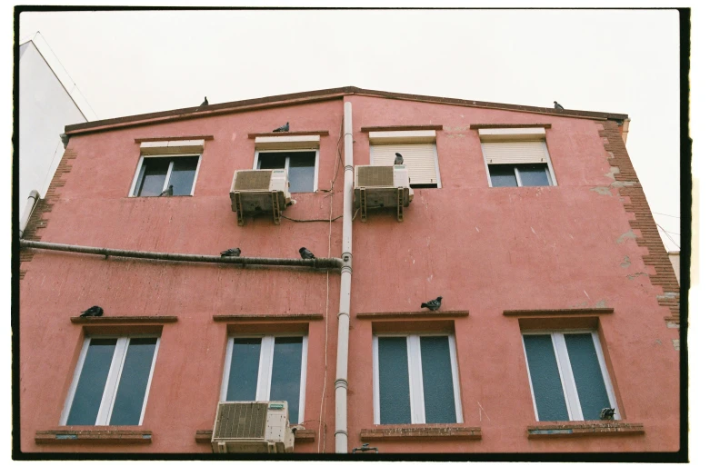 there are several birds perched outside the windows on this building