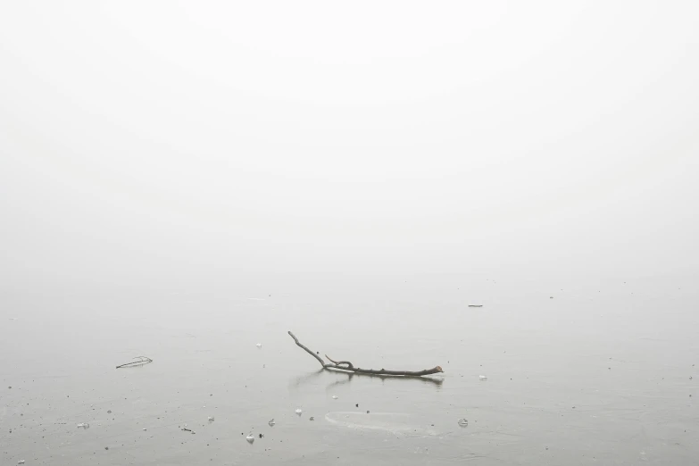 a single stick is in the water of a lake