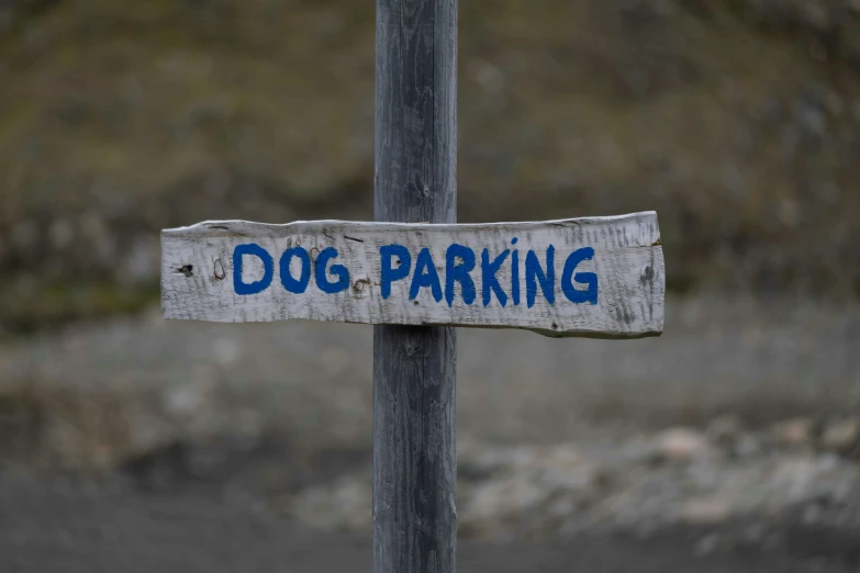 there is a dog parking sign on the wood post