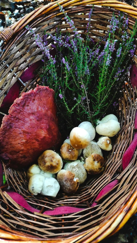 a basket filled with different types of vegetables