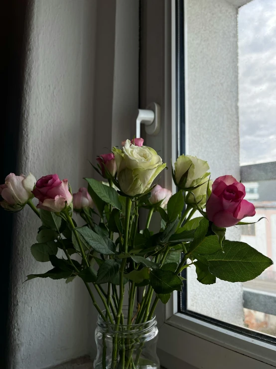 pink roses sit in a vase next to the window