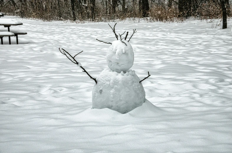 a snowman standing in the middle of a park with trees in the background