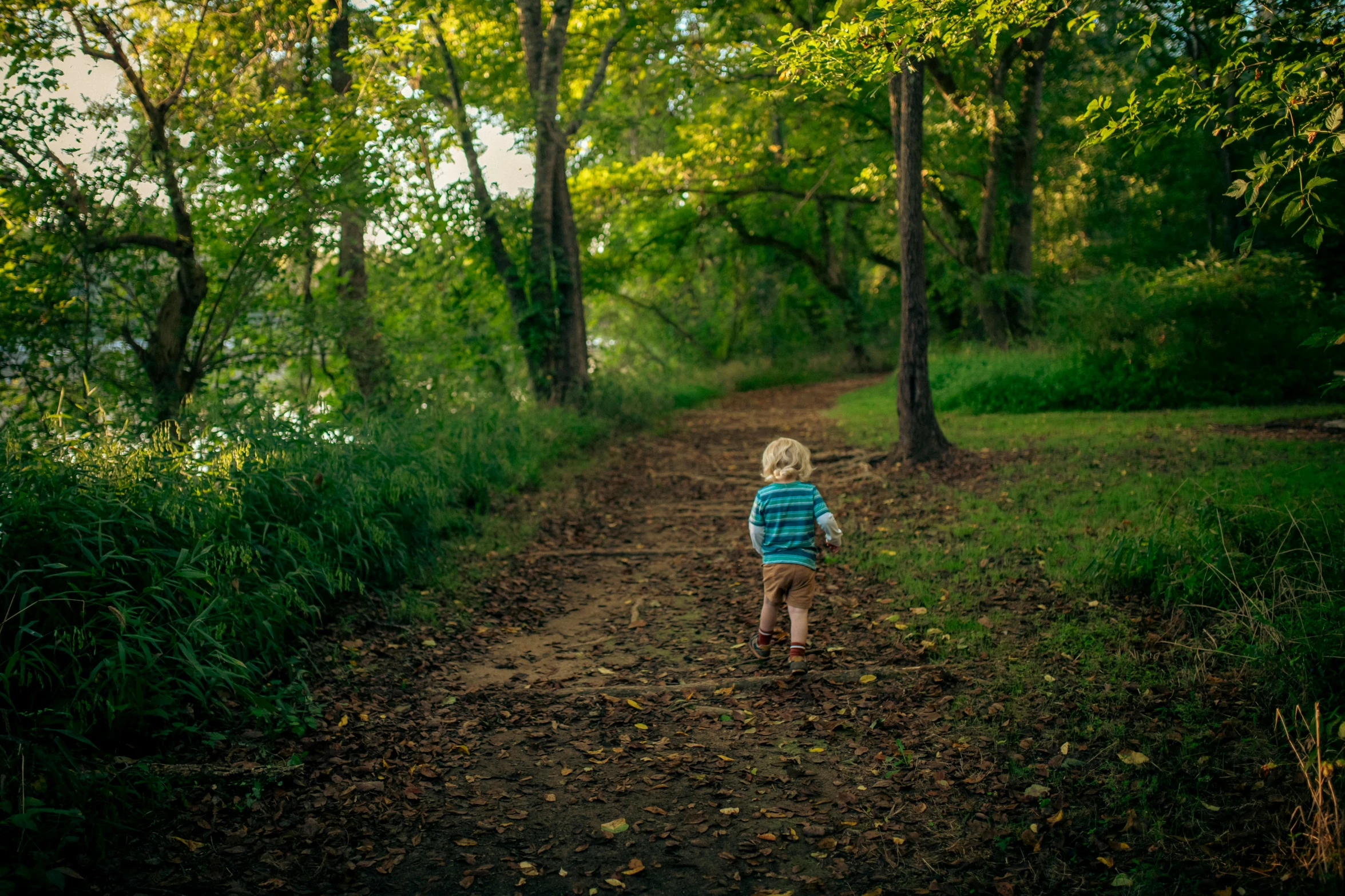 little girl walking along a path through a forest