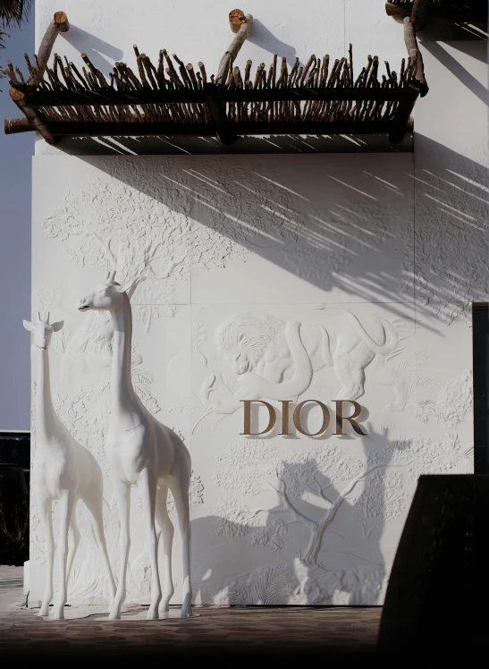 a white giraffe standing next to a building with long, thin nches above it