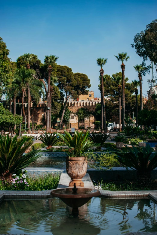 a fountain is in the middle of the park