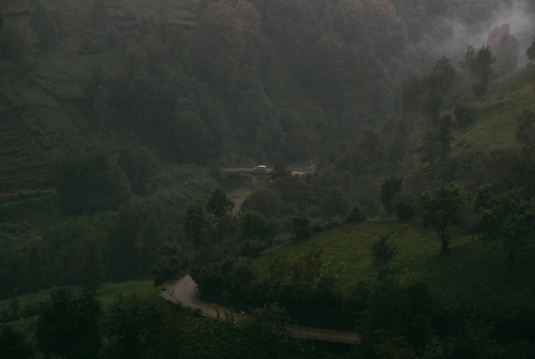 a large green grassy hillside covered in mist