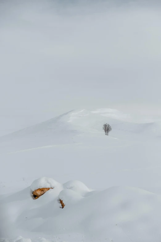 people are on skis in the snow