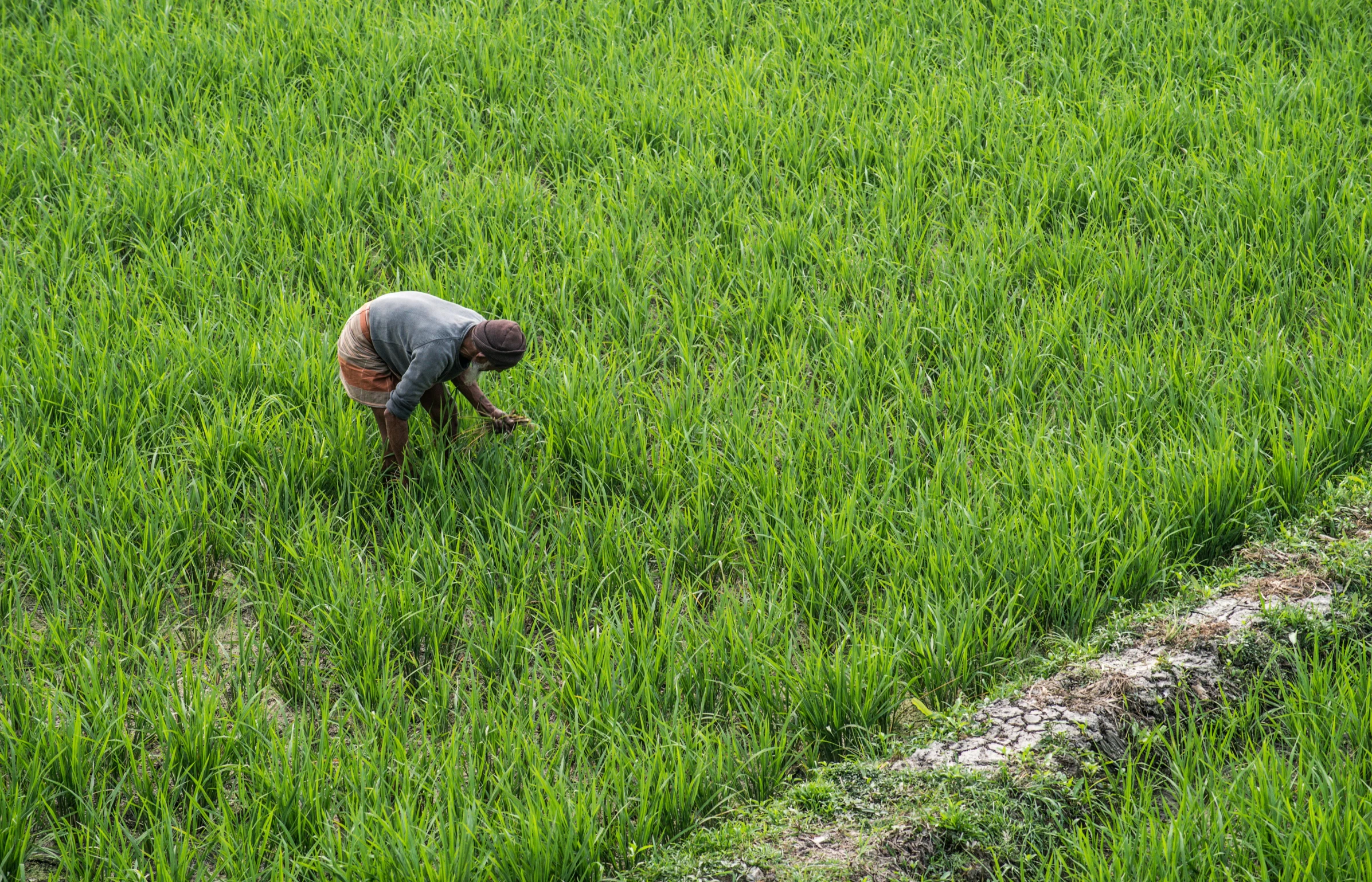 a person standing in the middle of a field