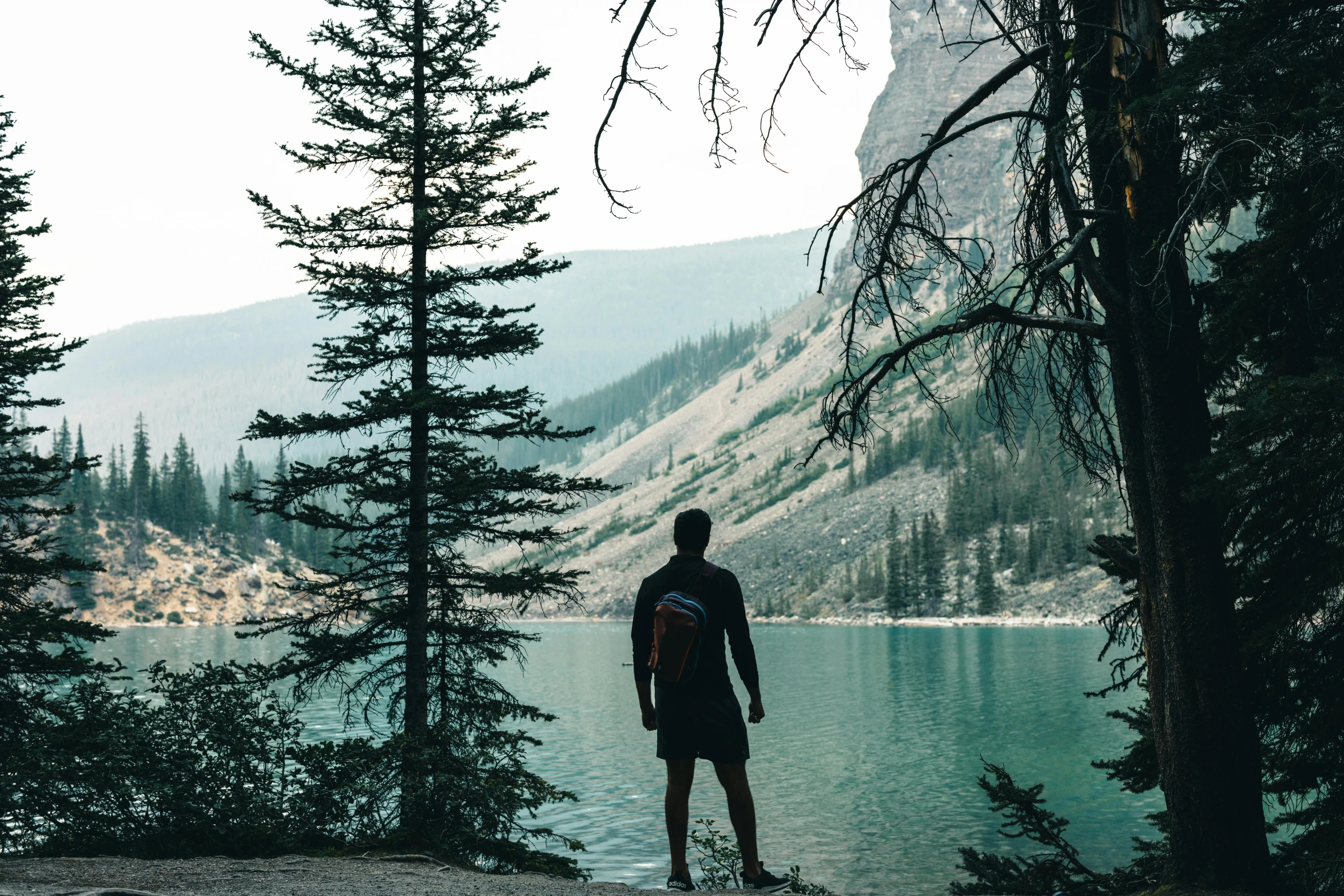 a man is standing near some trees by a lake