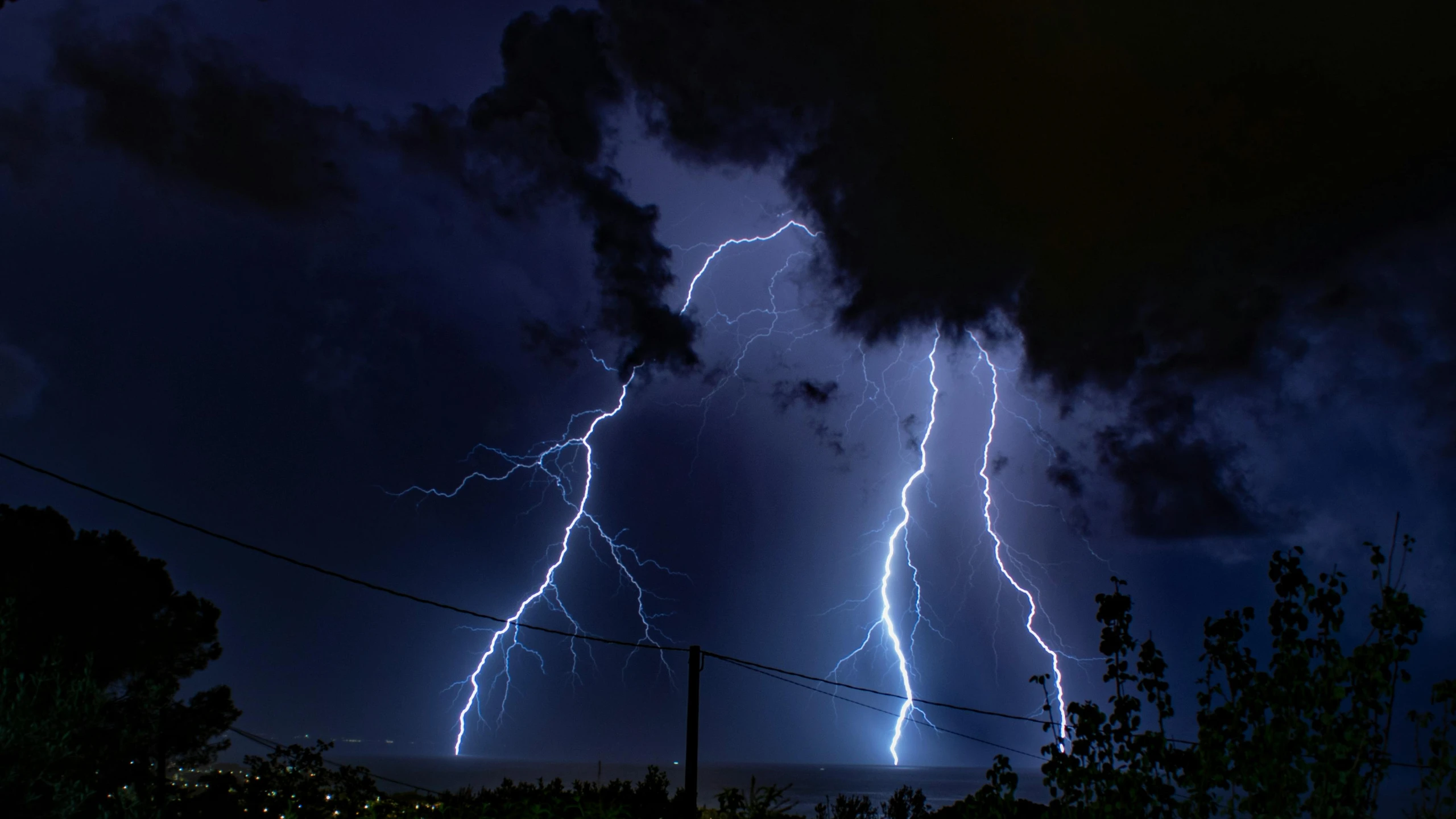 two lightning bolts strike across the sky above trees