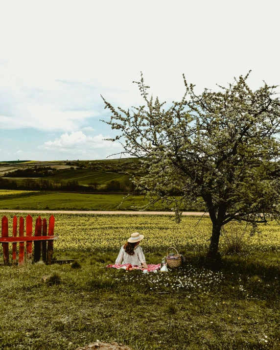 a person sitting in the grass next to a tree