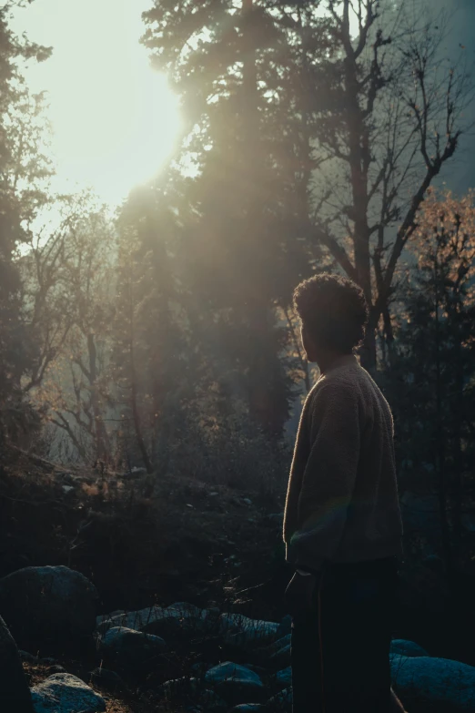 a boy stands in the sun and watches the woods