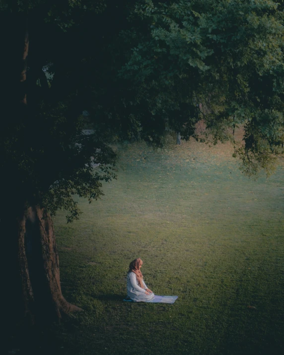 a girl sitting underneath a tree with her dress flowing around