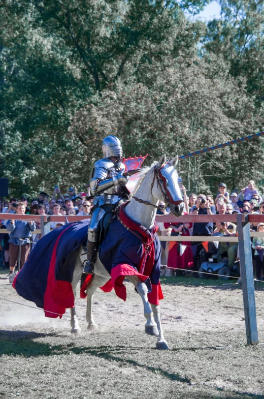 a knight riding a horse in front of a crowd of people