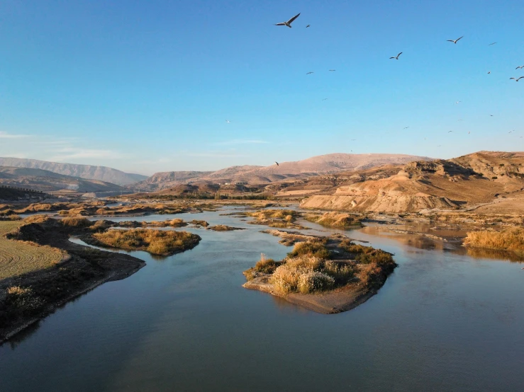 birds flying over a river in a valley near some mountains