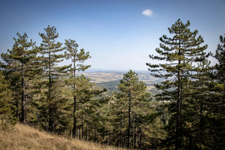 a view of a mountainous area from a hill