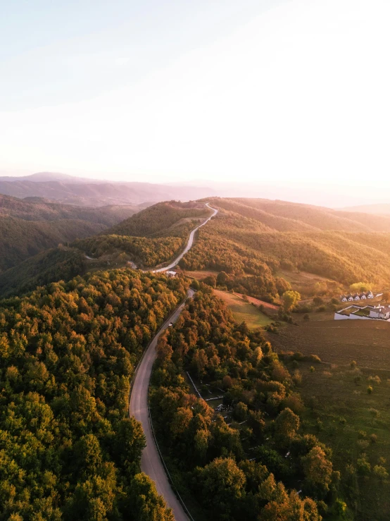 a scenic and winding mountain road in the woods