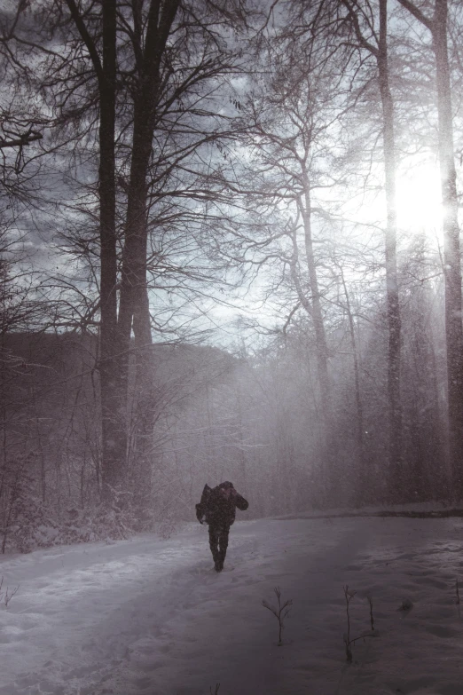 a person is walking on a snowy trail