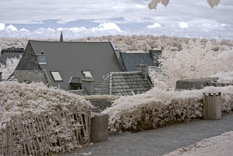 an old house is next to a large bush full of white flowers