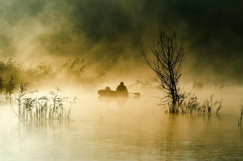 the silhouette of a person on a horse is sitting in the fog