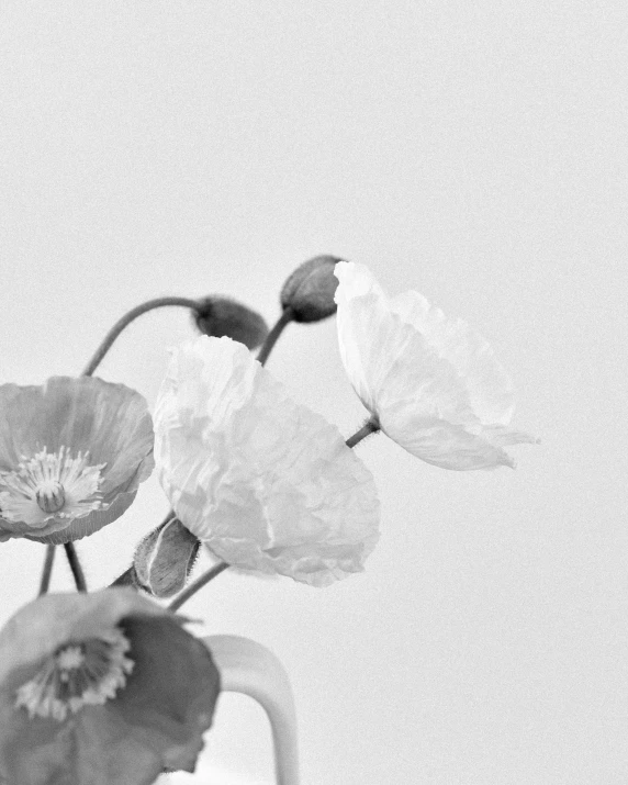 some pretty flowers with big flowers in a vase