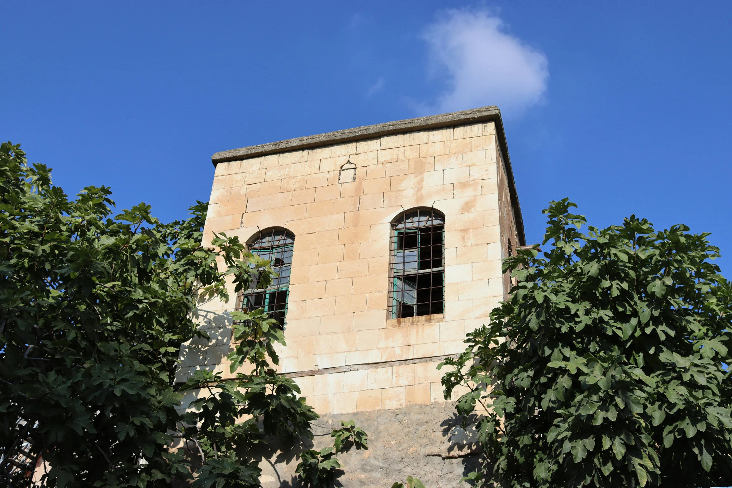 a building with two windows and green foliage