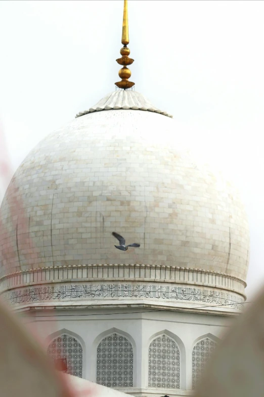 a view from the bottom floor looking at the roof of a white dome