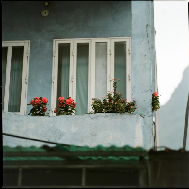 a row of flower boxes that are outside a blue house