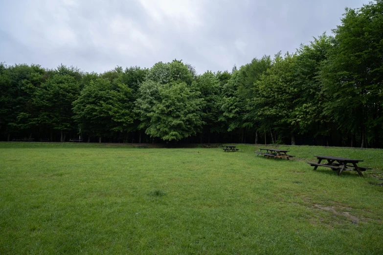 an image of a field with several picnic tables