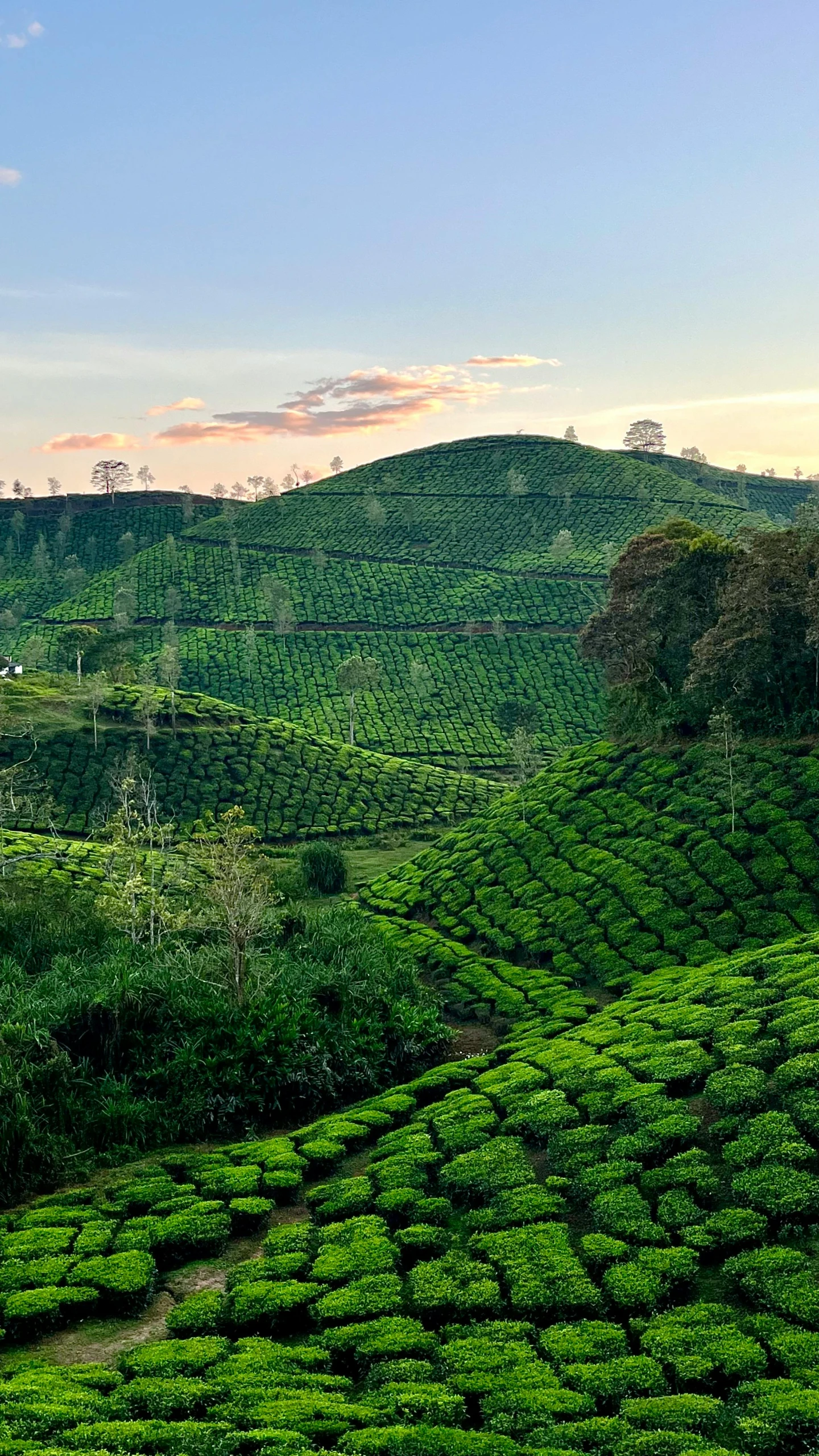 a view of some hills and mountains covered in green grass